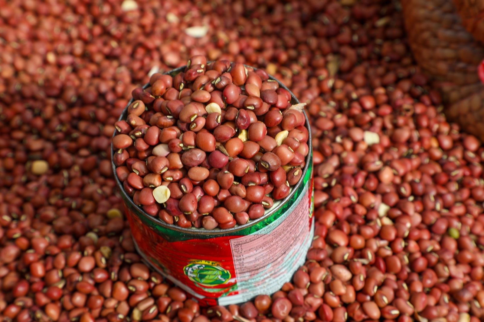 Cowpeas undefined