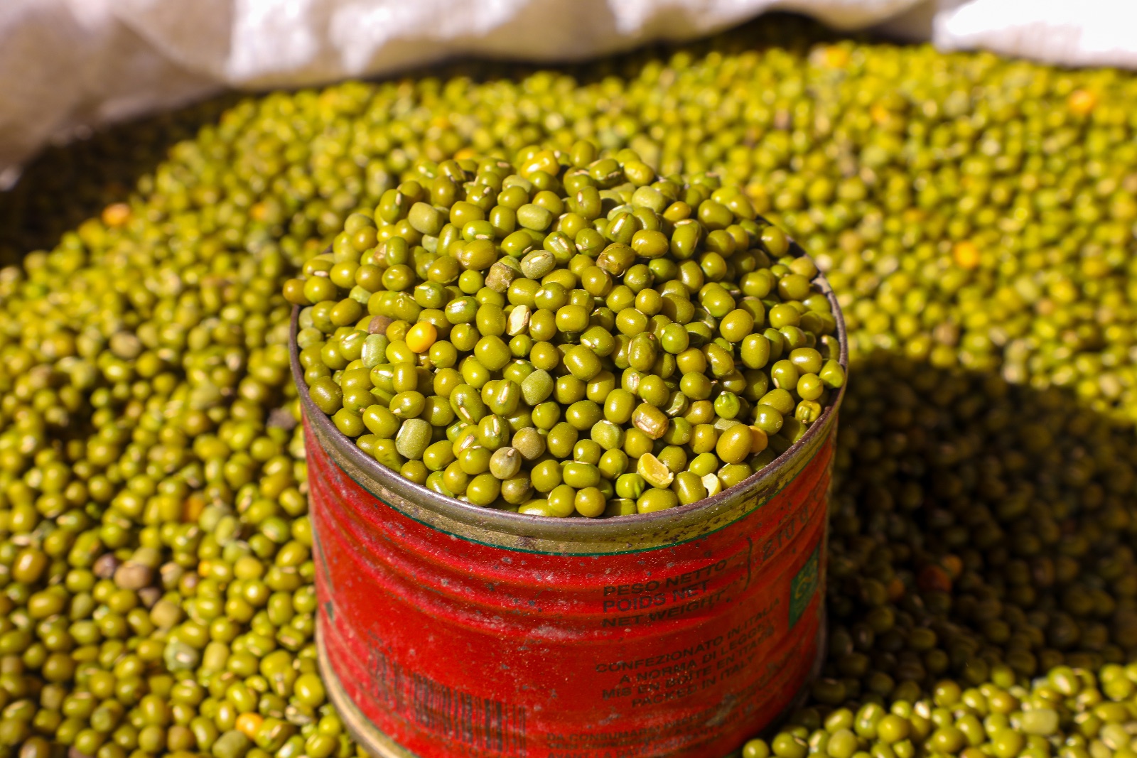 Mung Bean undefined