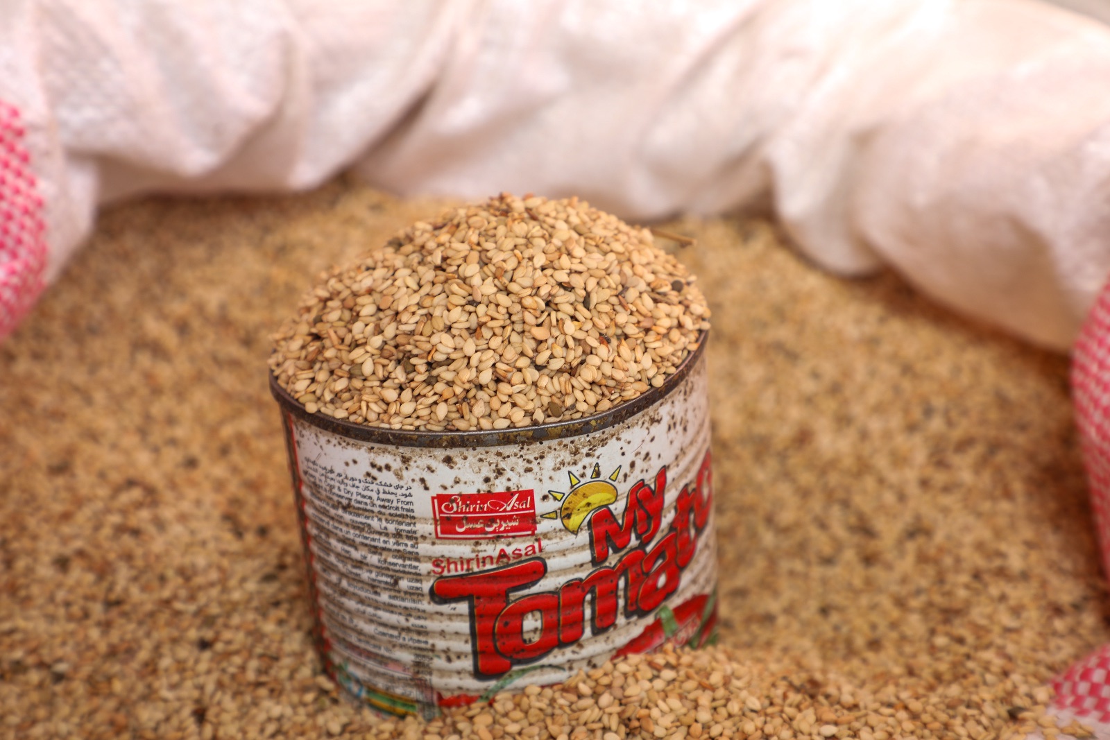 Sesame undefined