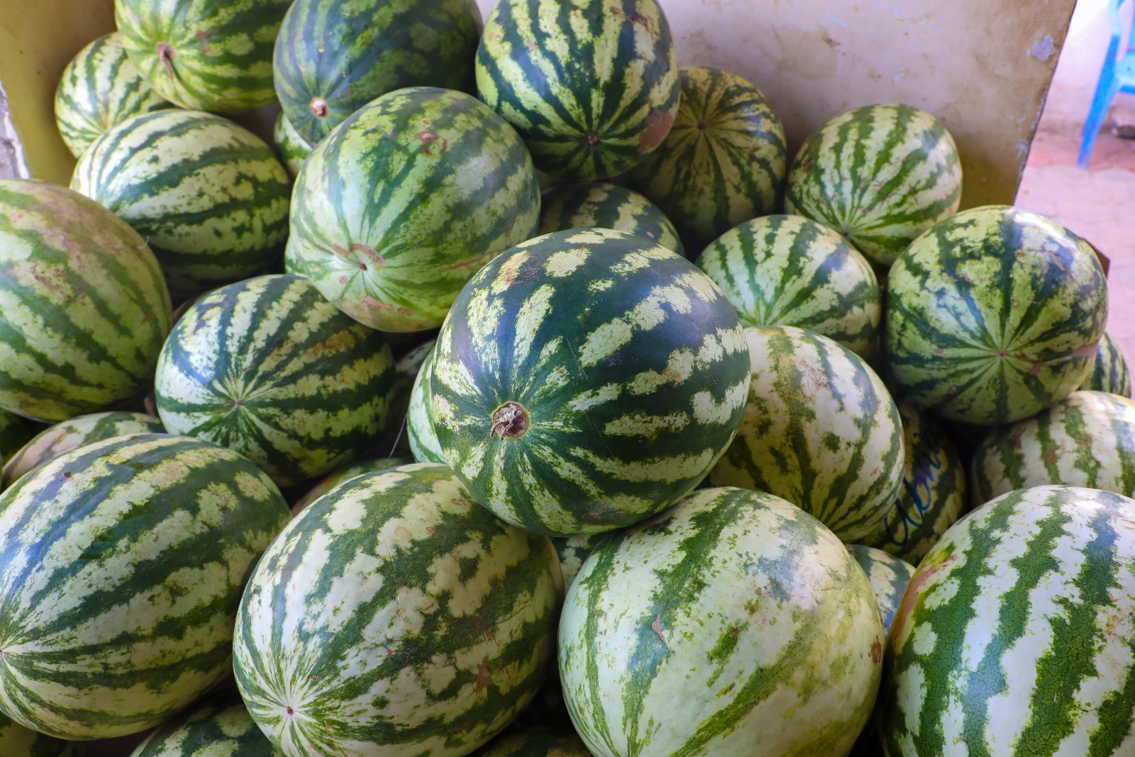 Watermelon undefined